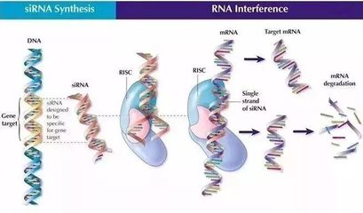 細(xì)胞技術(shù)引領(lǐng)護(hù)膚革命 安全到可以吃的面膜，讓色斑無(wú)所遁形