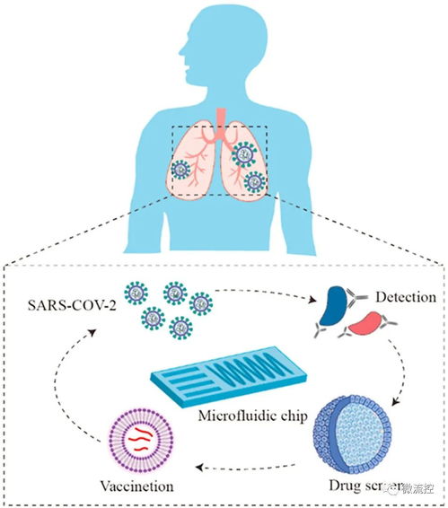 微流控技術(shù)在新冠肺炎診斷和藥物研發(fā)及細(xì)胞技術(shù)領(lǐng)域的應(yīng)用