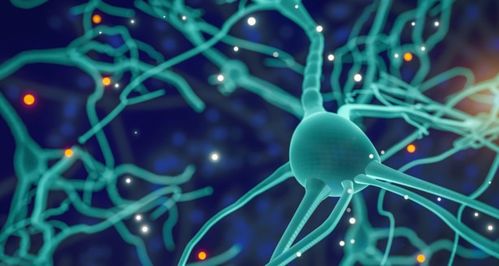 專(zhuān)訪再生生物 像預(yù)防疾病一樣抗衰，AI制藥與細(xì)胞技術(shù)重塑抗衰老未來(lái)