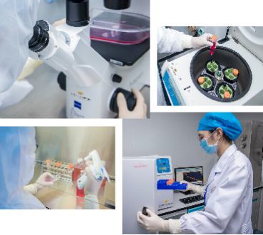 自貿區示范新篇章 壹加健康攜手珠海市人民醫院，開啟細胞技術研發與應用生命健康戰略合作